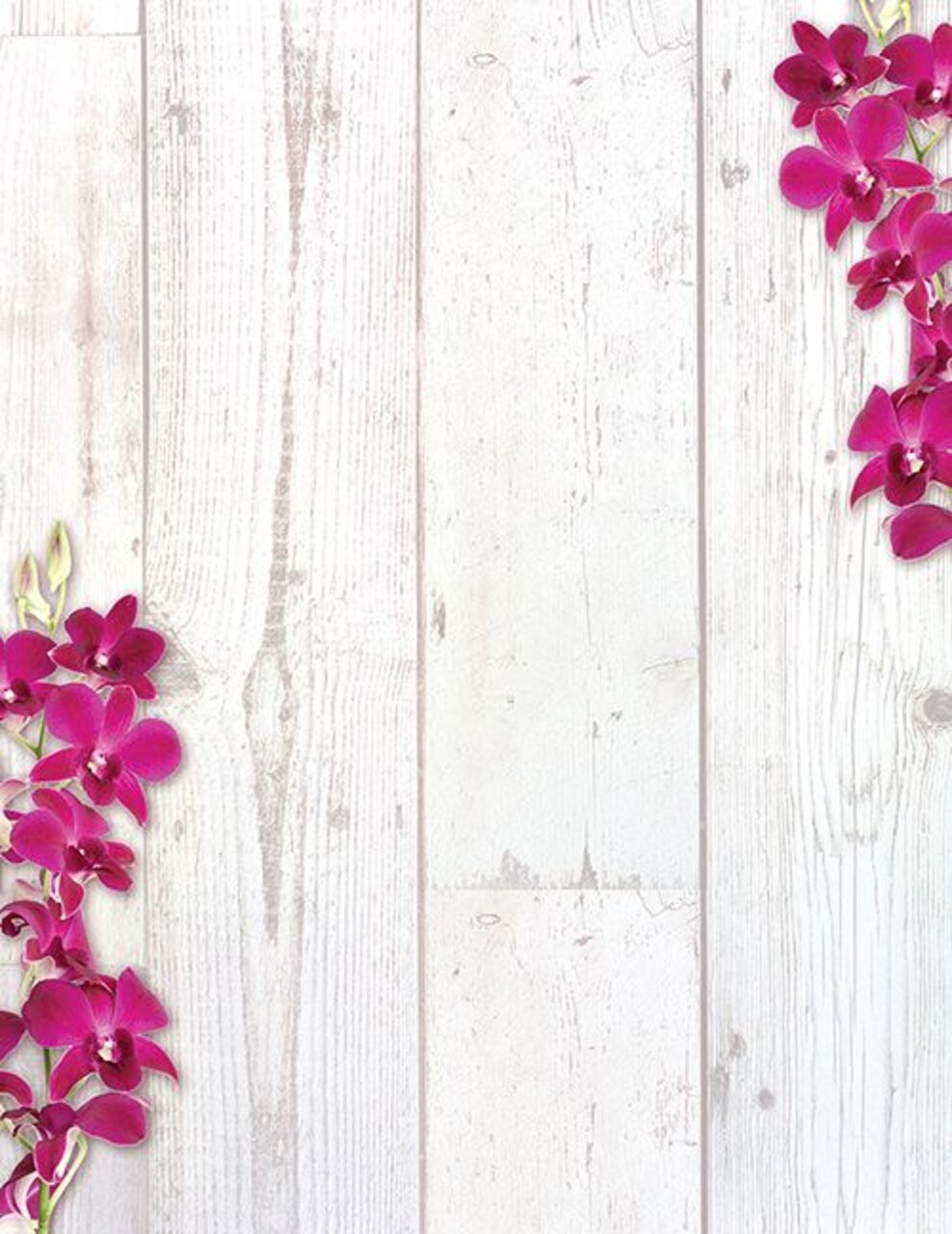 Great Papers! Elegant Orchid Letterhead, for Invitations, Announcements and Personal Messages, Printer Friendly 8.5" x 11", 50 Pack